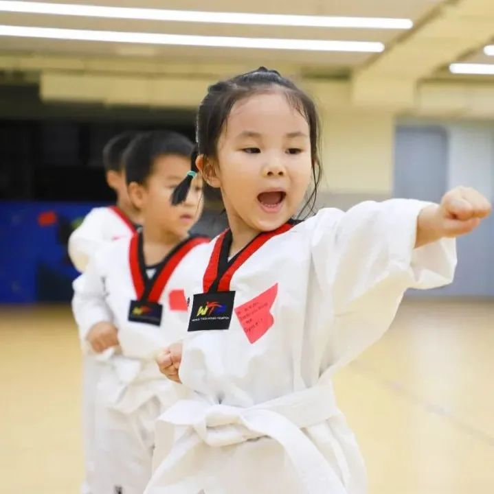 LUCian Journal | Check It Out! Our Taekwondo Training
