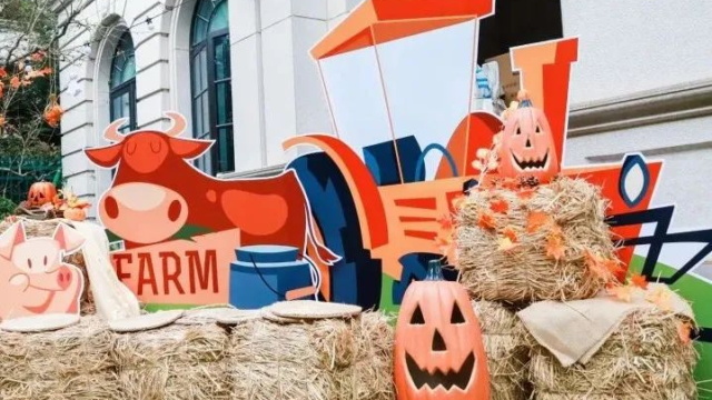 LUC Harvest Festival |An Organic Farm Pops into Campus!
